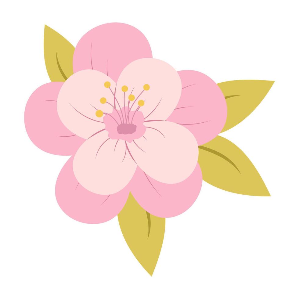 Pink Floral Summer Illustrations Sakura. vector