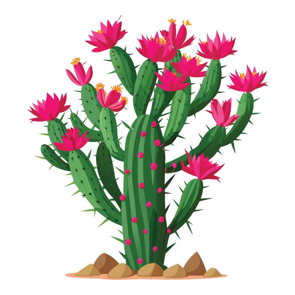 cactus plant with pink flowers on a white background vector