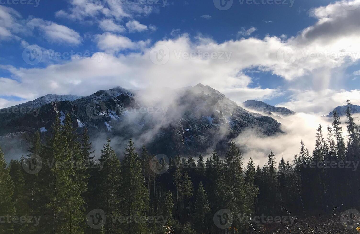 A mountain landscape partially covered in snow and mist, surrounded by dense evergreen trees, under a bright blue sky. photo