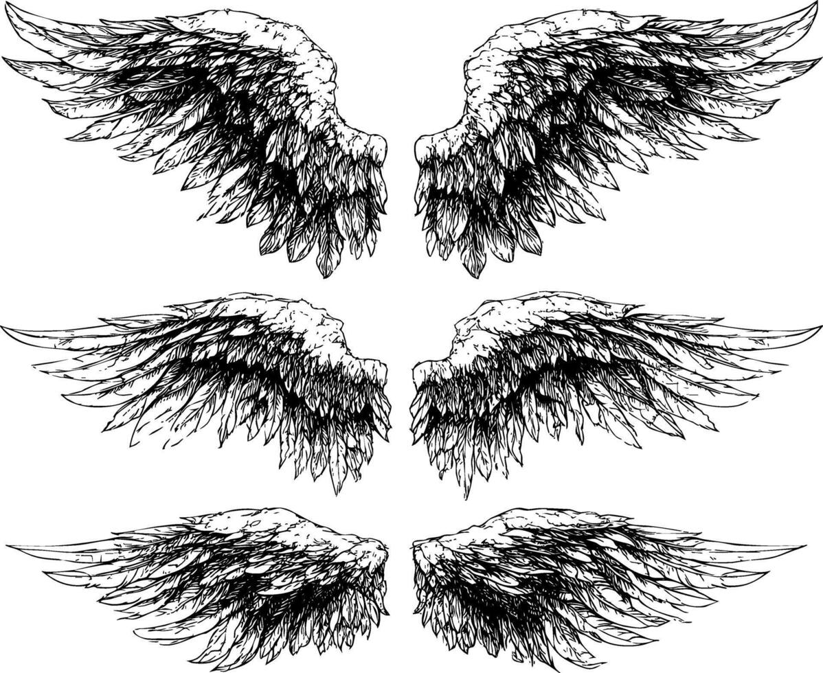 A set of three angel wings, a hand-drawn vector