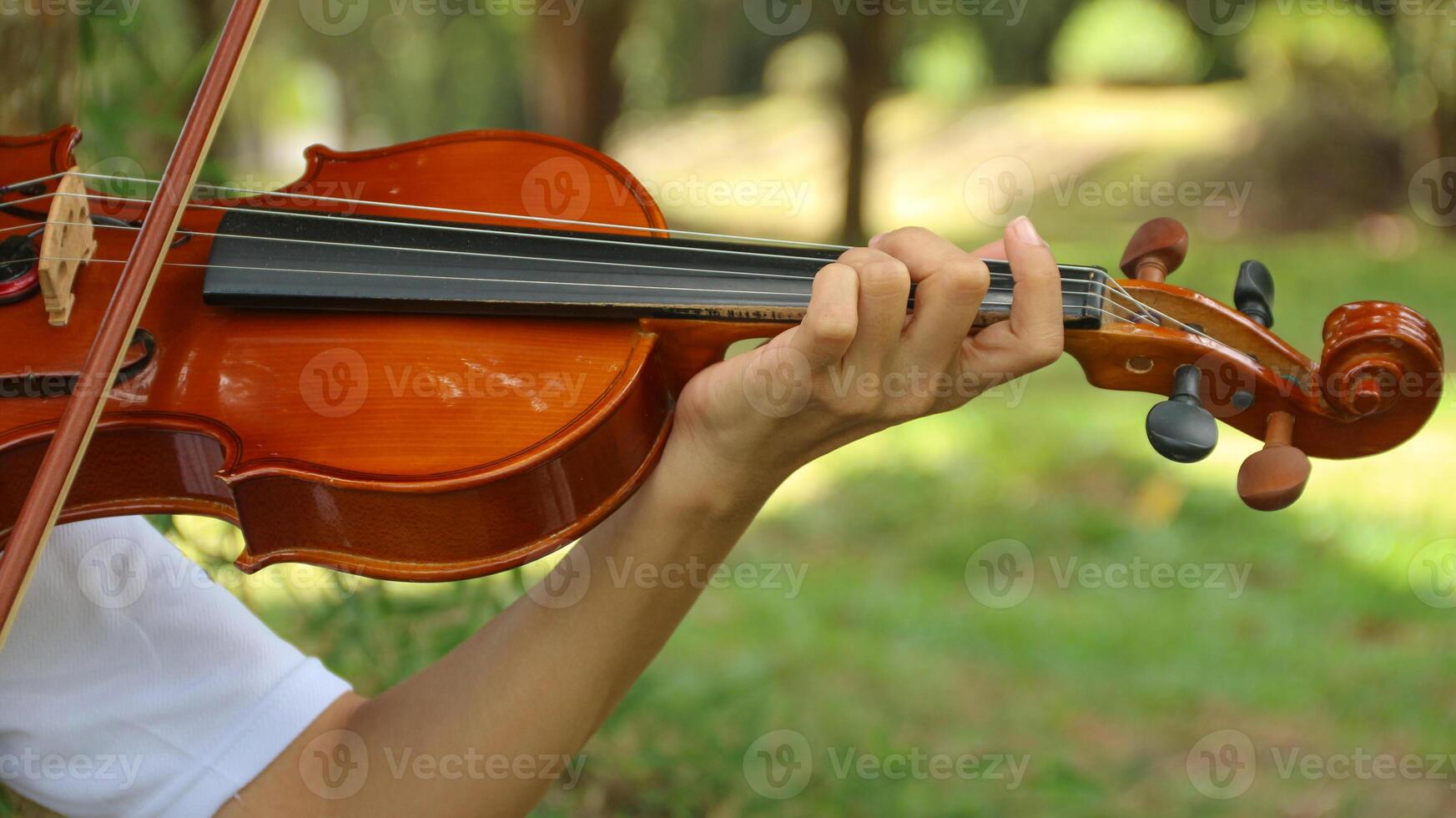 Up Close Detail of Beautiful Classical, Celtic, or Bluegrass Instrument the Violin or Fiddle. photo