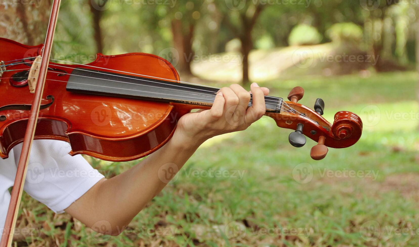 Up Close Detail of Beautiful Classical, Celtic, or Bluegrass Instrument the Violin or Fiddle photo