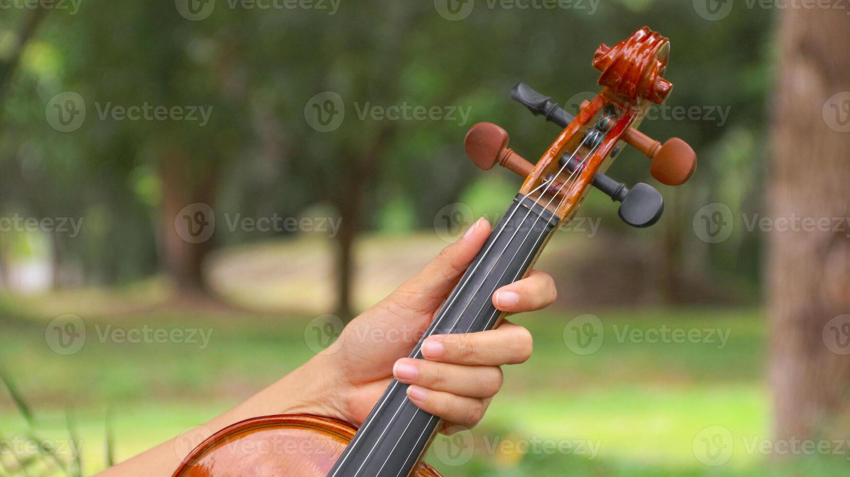 Up Close Detail of Beautiful Classical, Celtic, or Bluegrass Instrument the Violin or Fiddle, photo