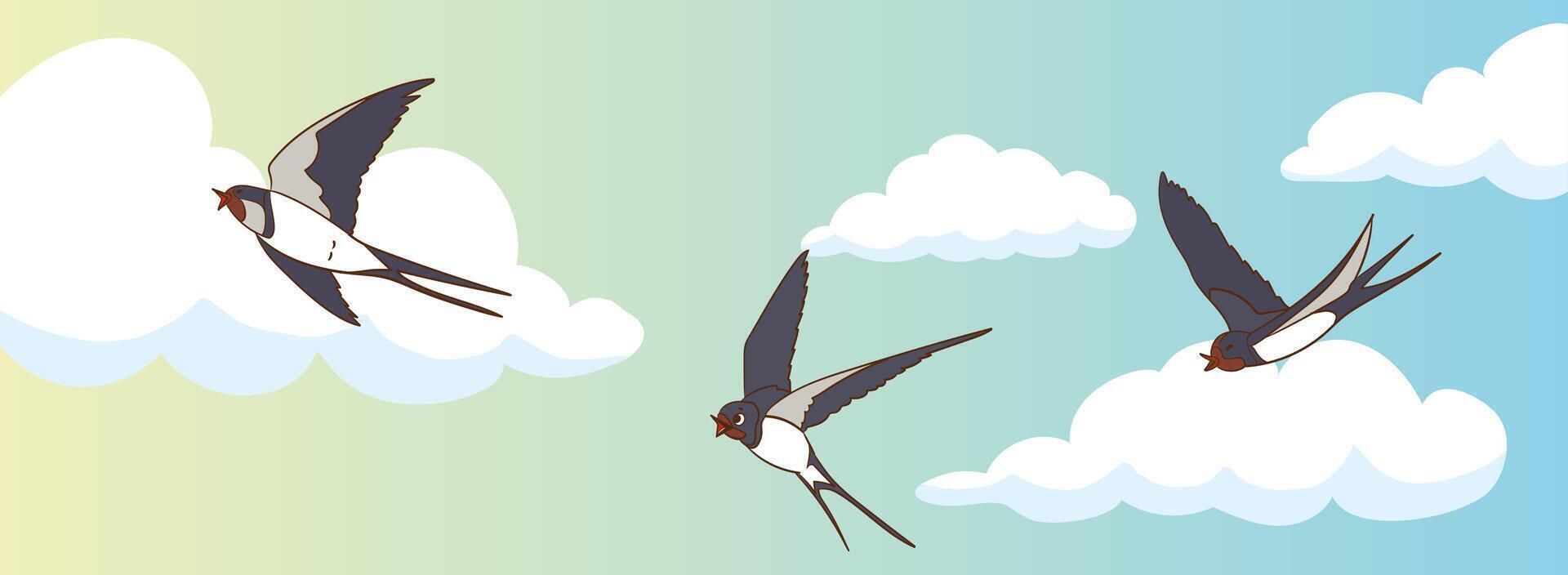 swallow bird flying in the sky.flying swallow birds illustration vector