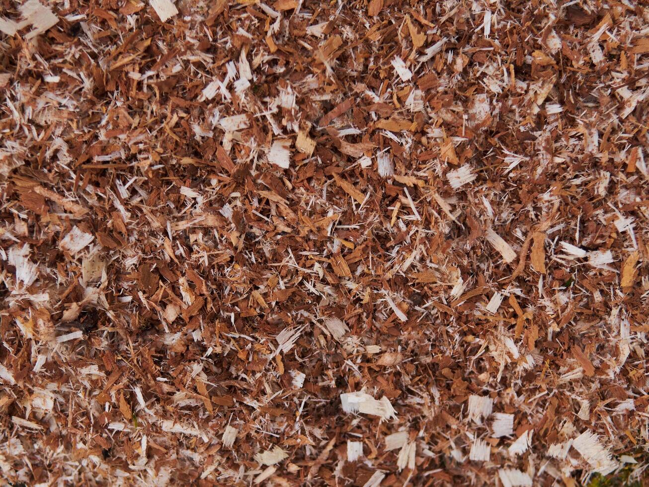 A pile of wood chips with a brownish color photo