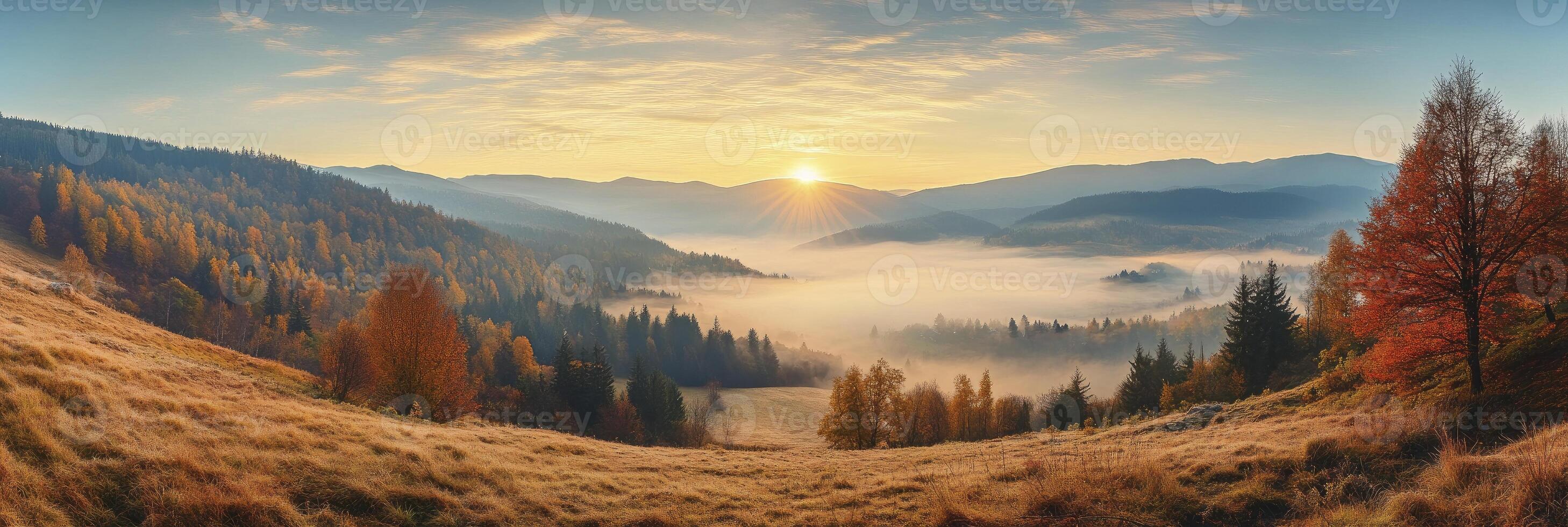 A beautiful sunrise over a valley with trees and fog photo