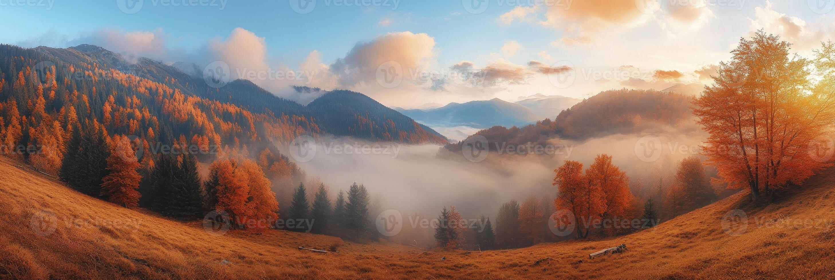 A beautiful landscape with trees and fog photo