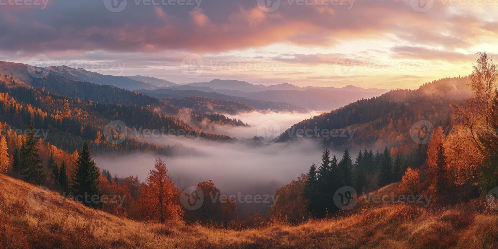 Autumn landscape with fog and trees in the mountains photo