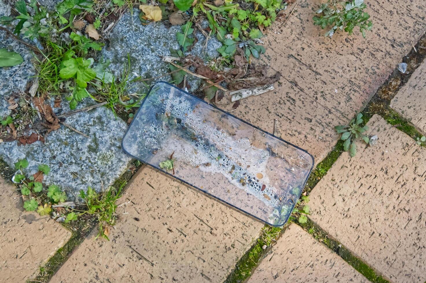 An old broken Display-Glass Smartphone in Soapy Water on Paved Surface photo