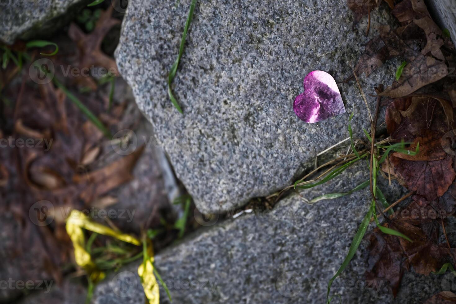 Pink Heart on Stone Pathway photo