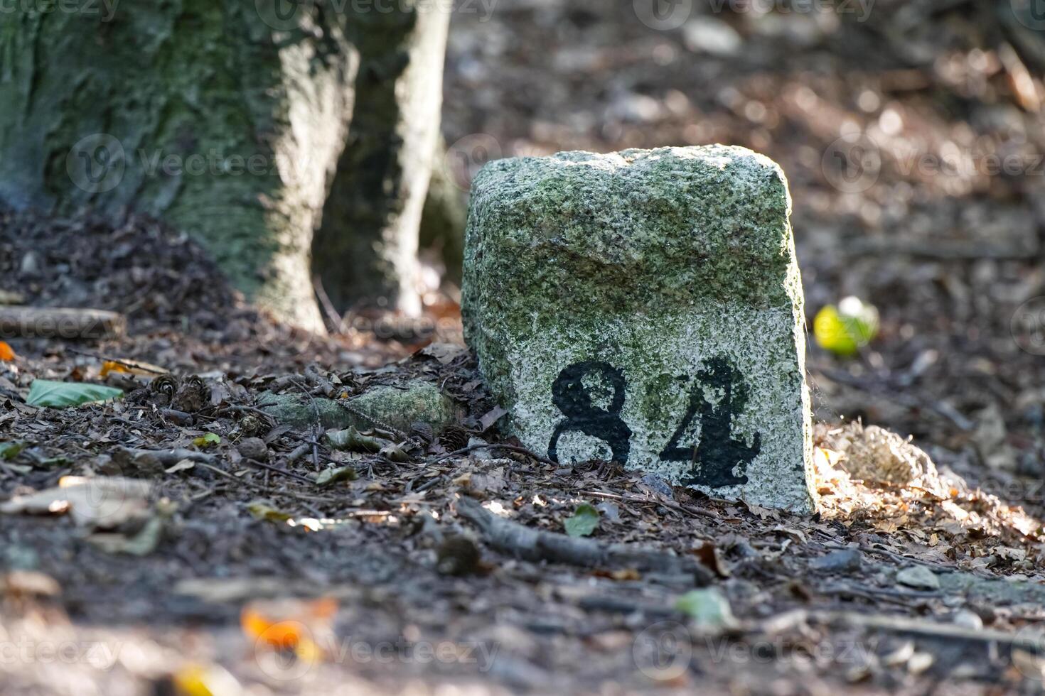 Weathered Stone Marker in Forest photo