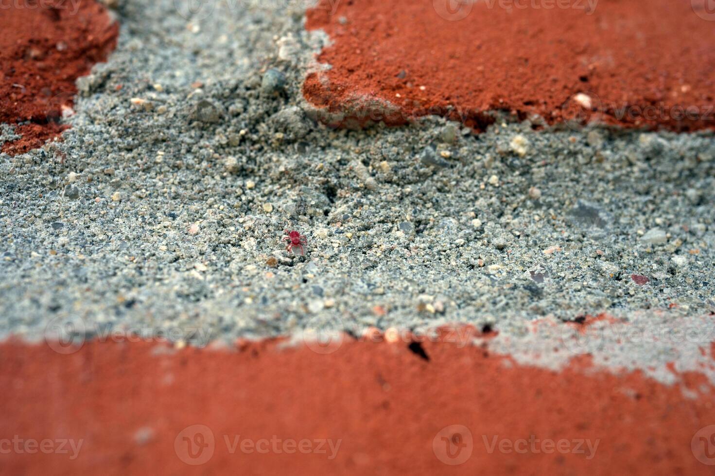 Close-up of Red Brick and Gray Mortar Texture photo