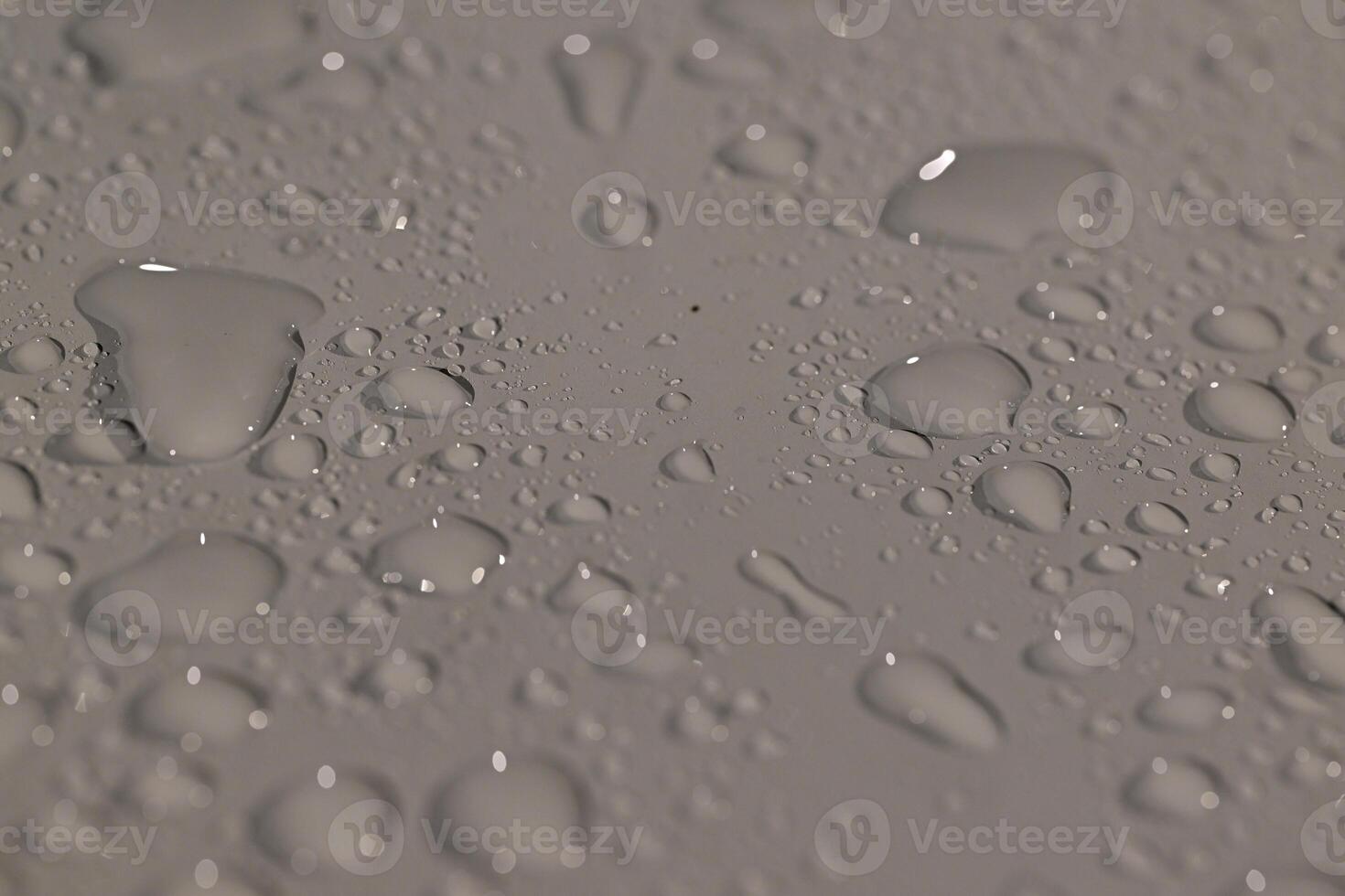Close-Up of Water Droplets on Surface photo