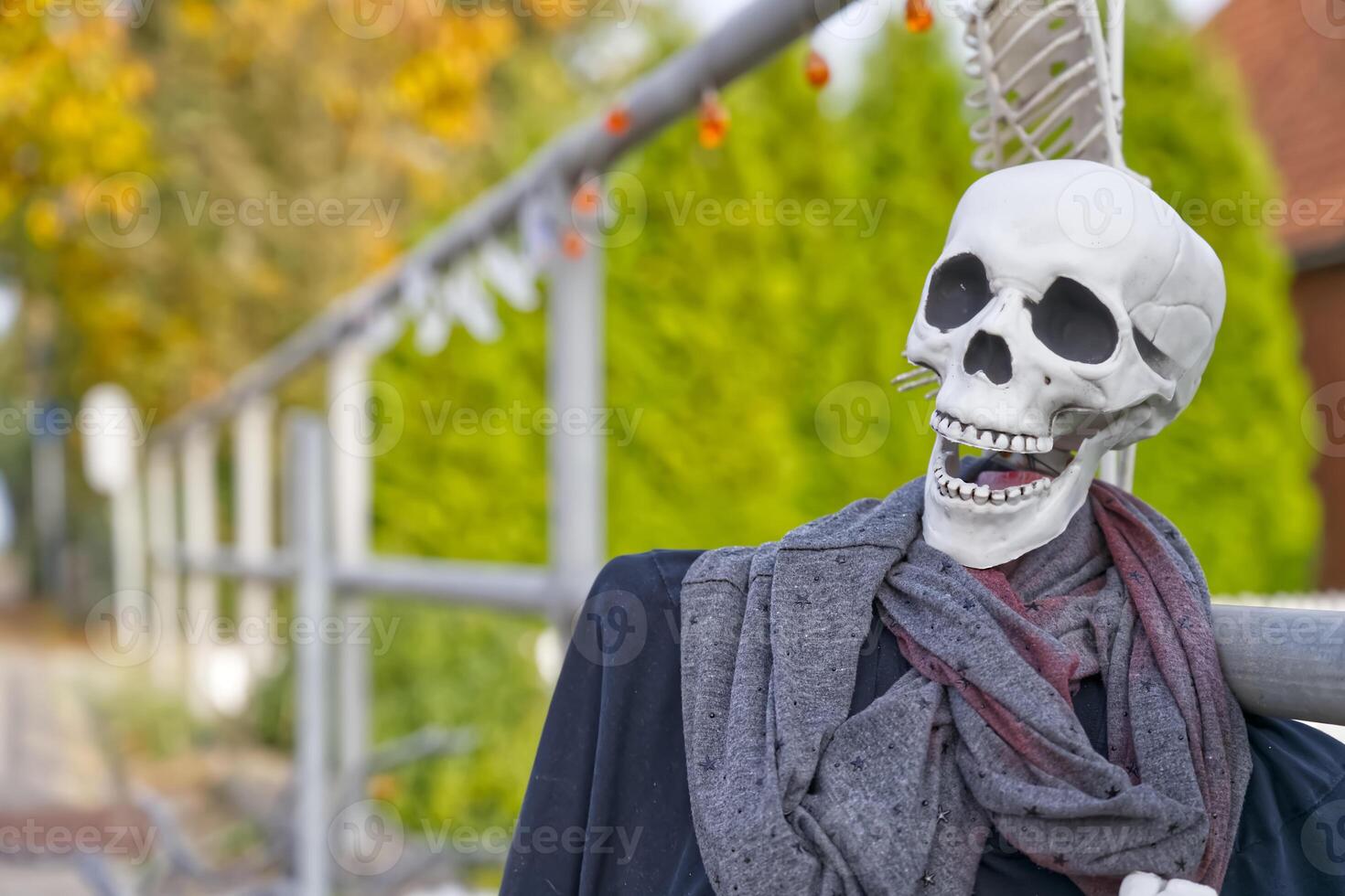 Skeleton in Scarf and Jacket with Autumn Background photo