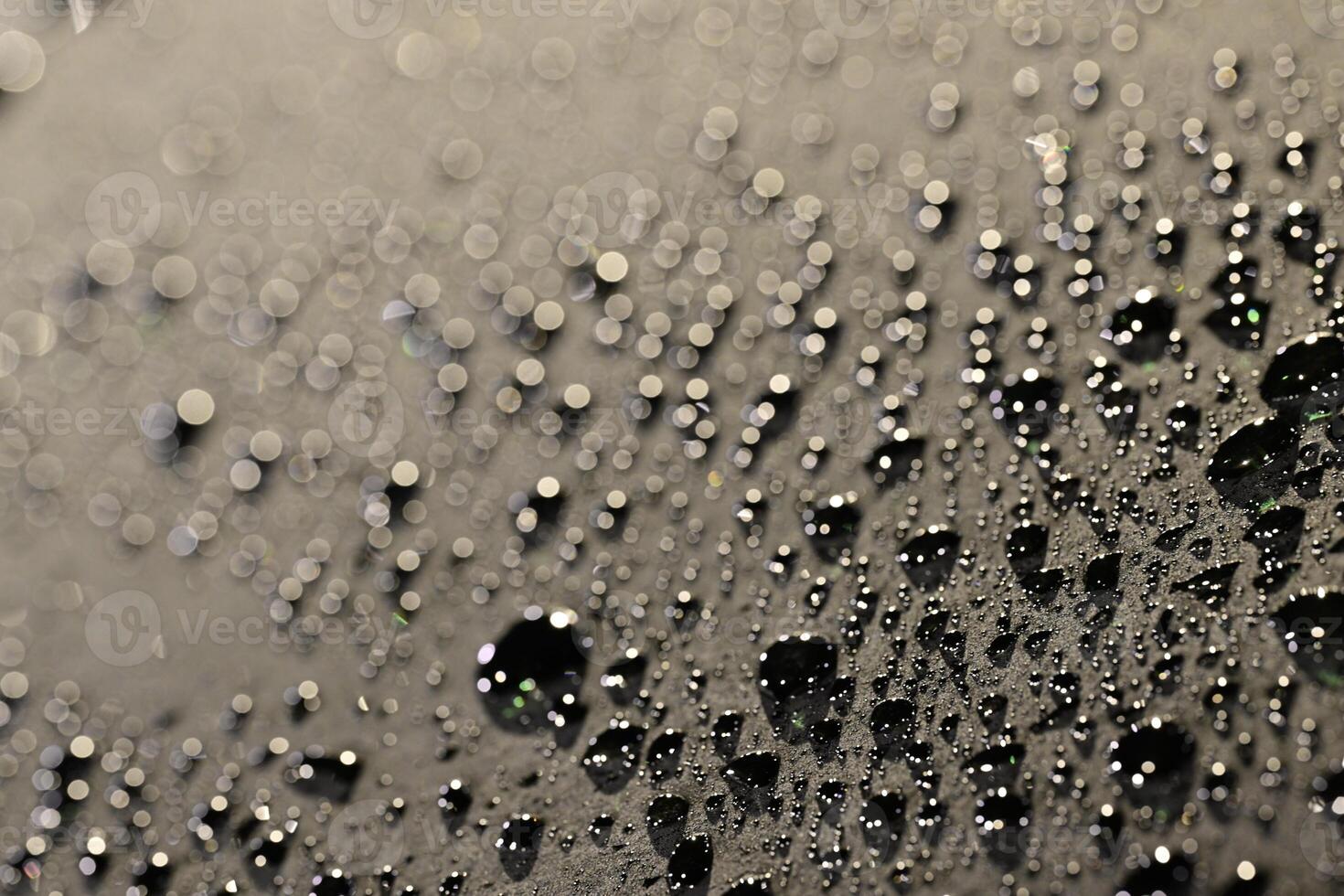 Close-Up of Water Droplets with Bokeh Effect photo