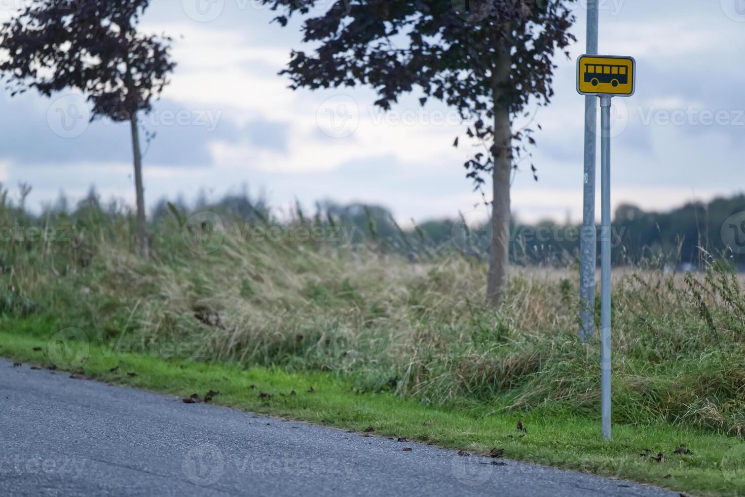 Serene Rural Bus Stop Scene photo
