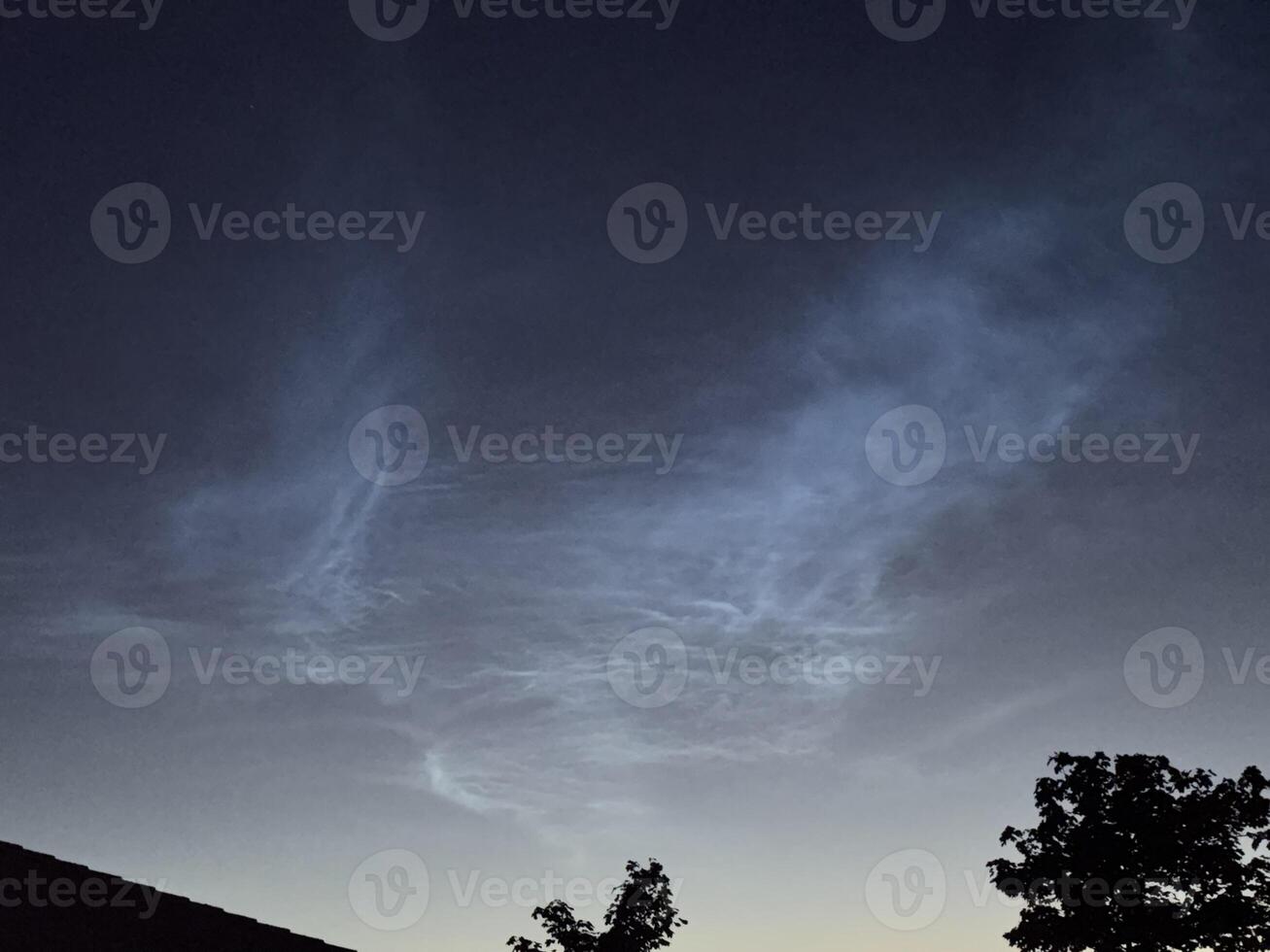 Twilight Sky with Wispy Clouds and Silhouetted Trees photo