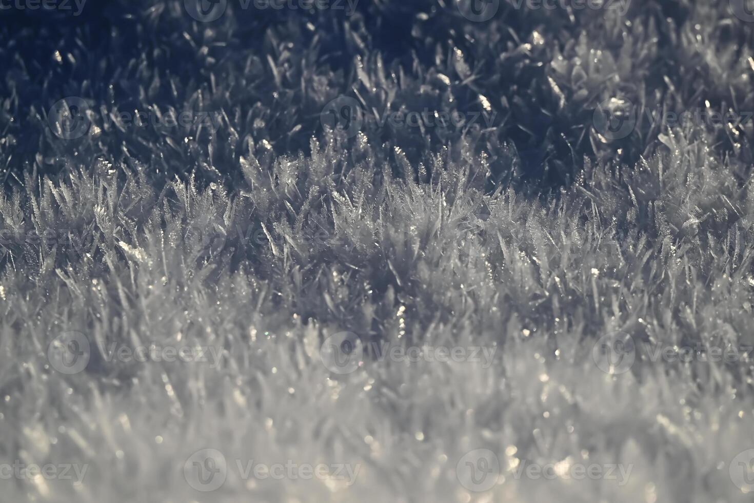 Frosty Grass with Intricate Ice Crystals photo