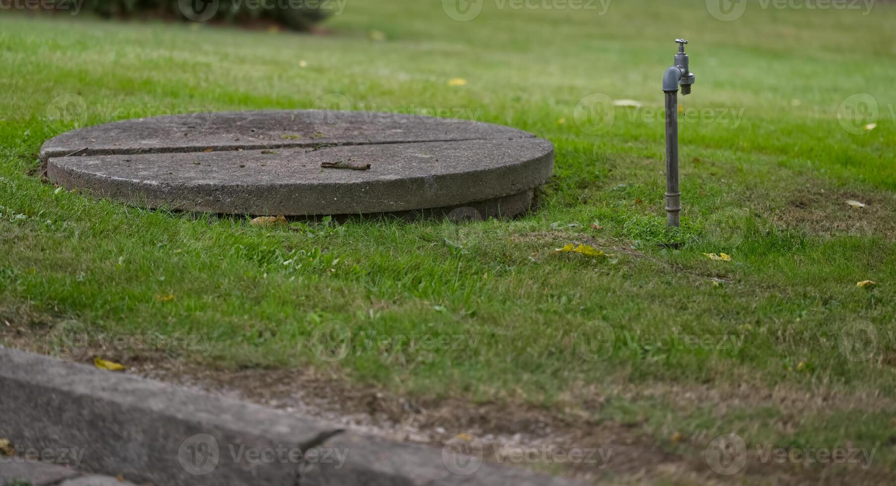 Manhole Cover and Water Faucet in a Grassy Area photo