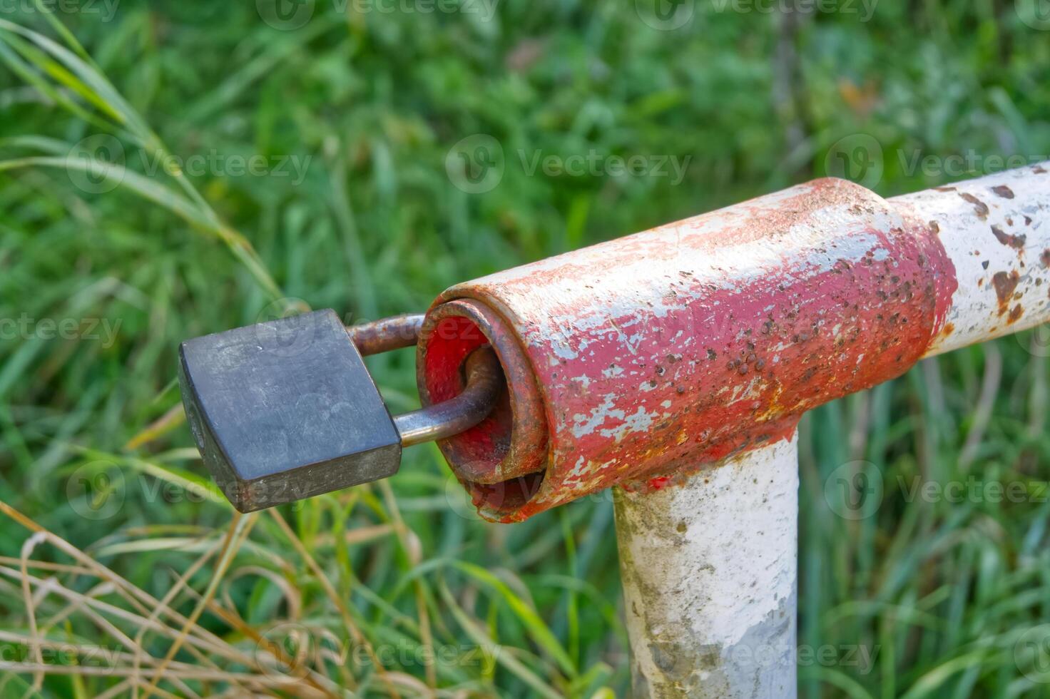 Rusty Gate Latch with Padlock photo