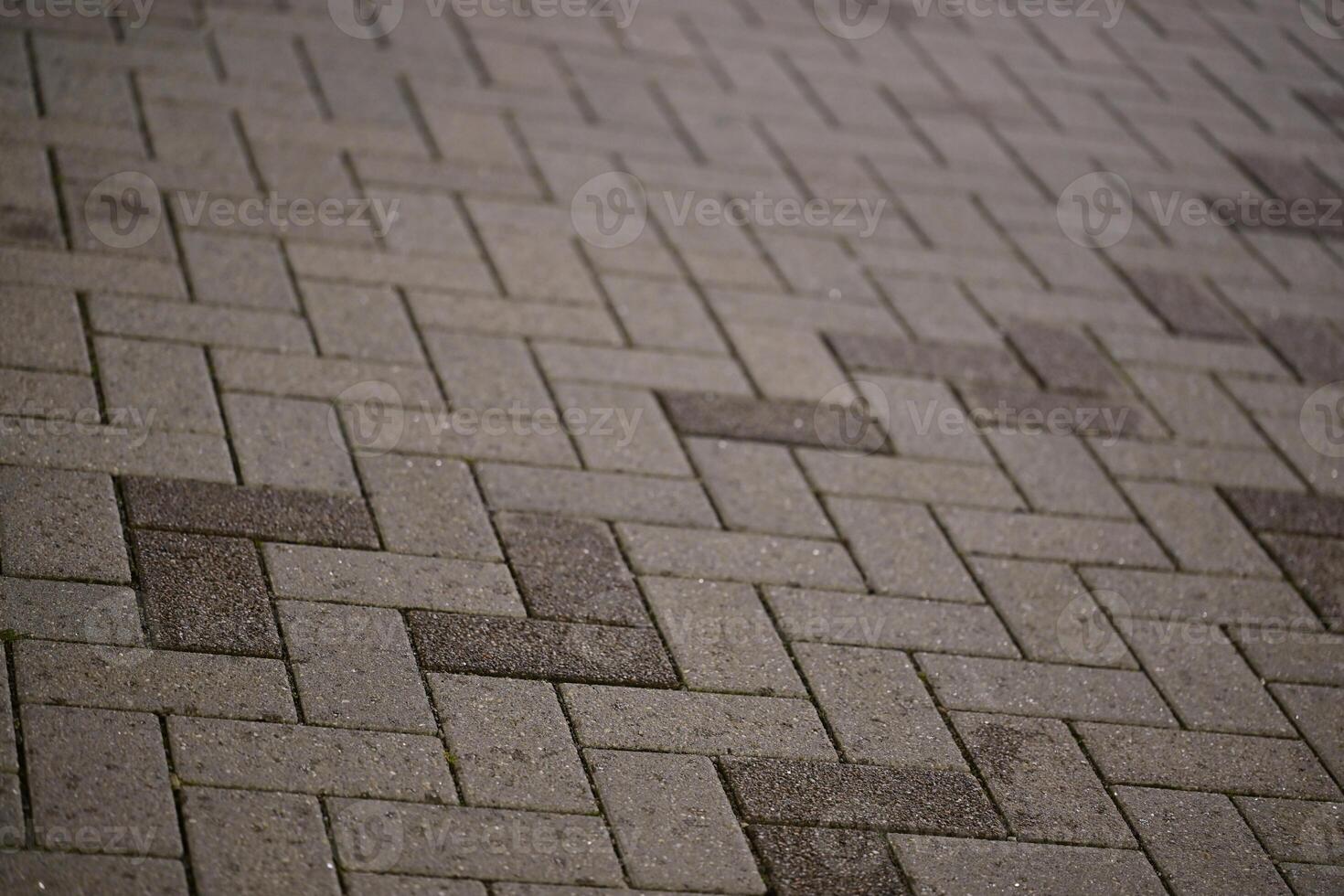Textured Herringbone Pattern Pavement photo
