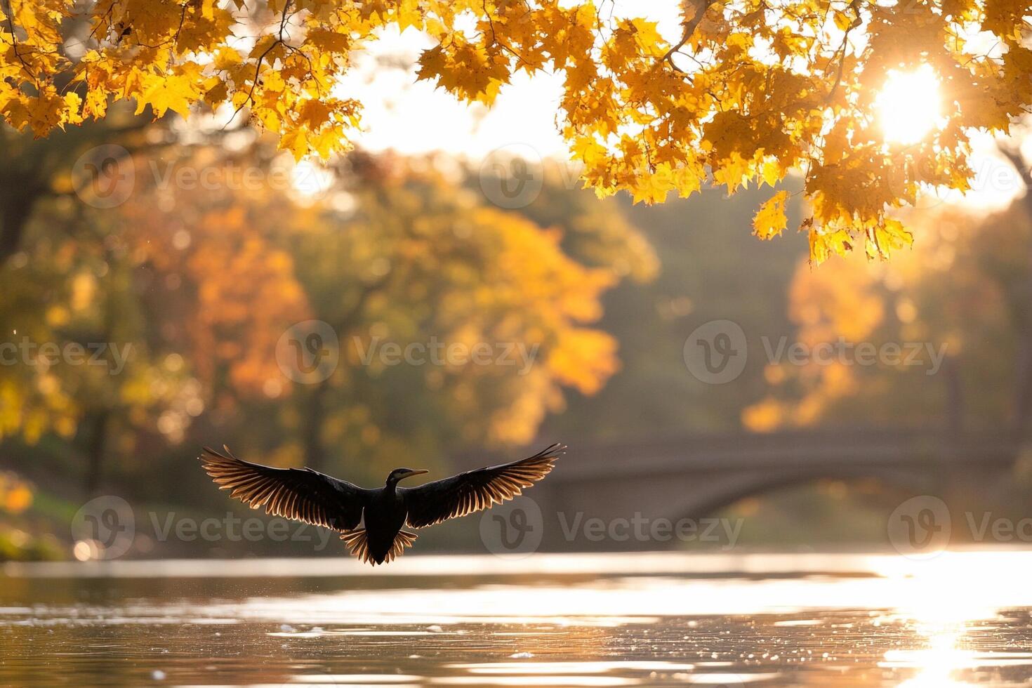 A bird flying over a river with trees in the background photo