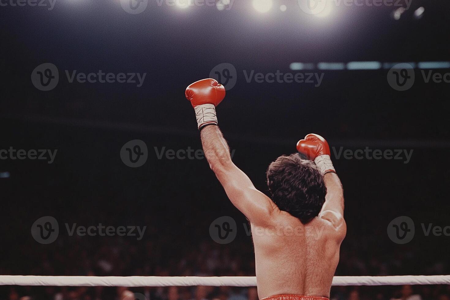 A man in boxing gloves standing in the ring photo