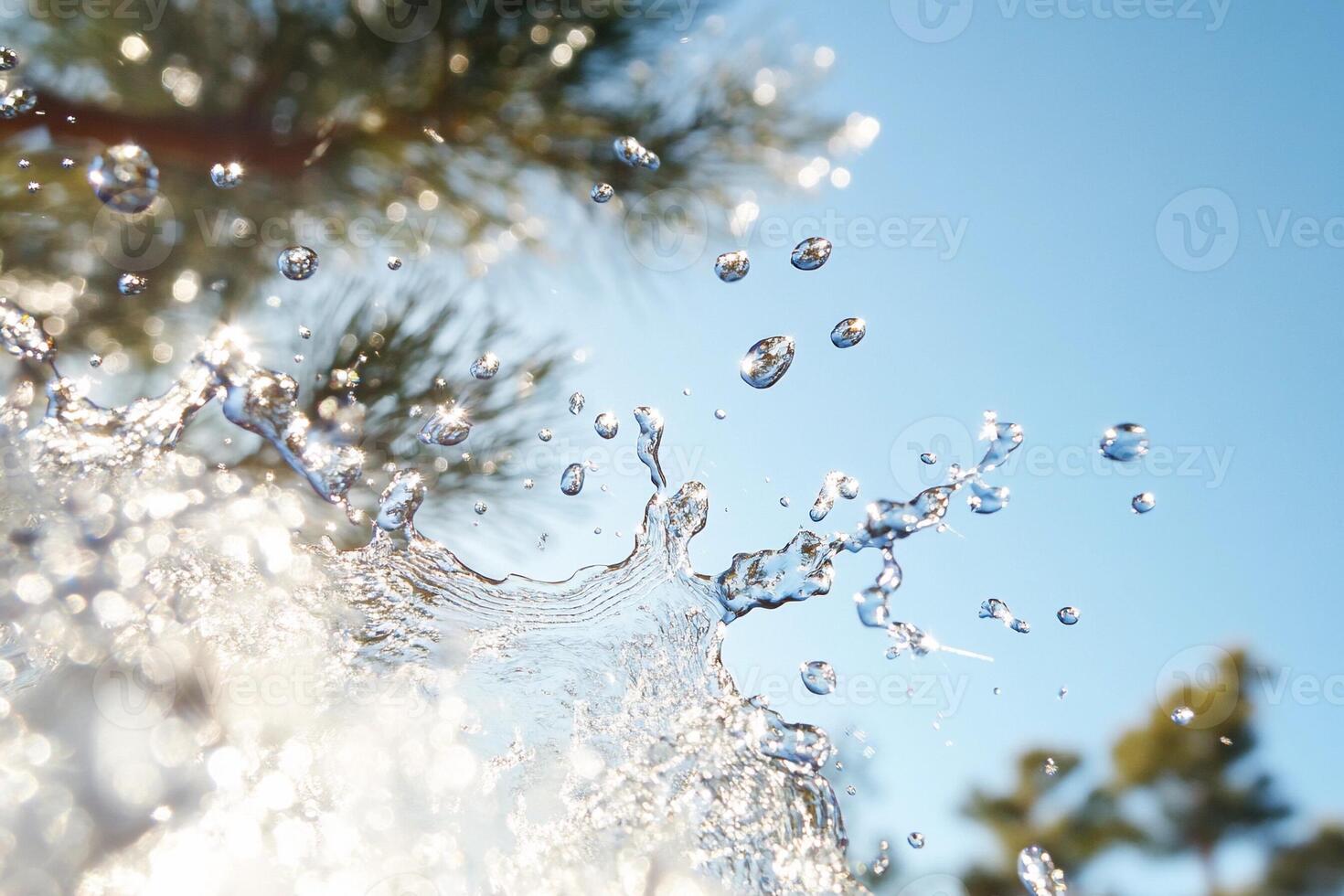 Water splashing on a tree and a blue sky photo