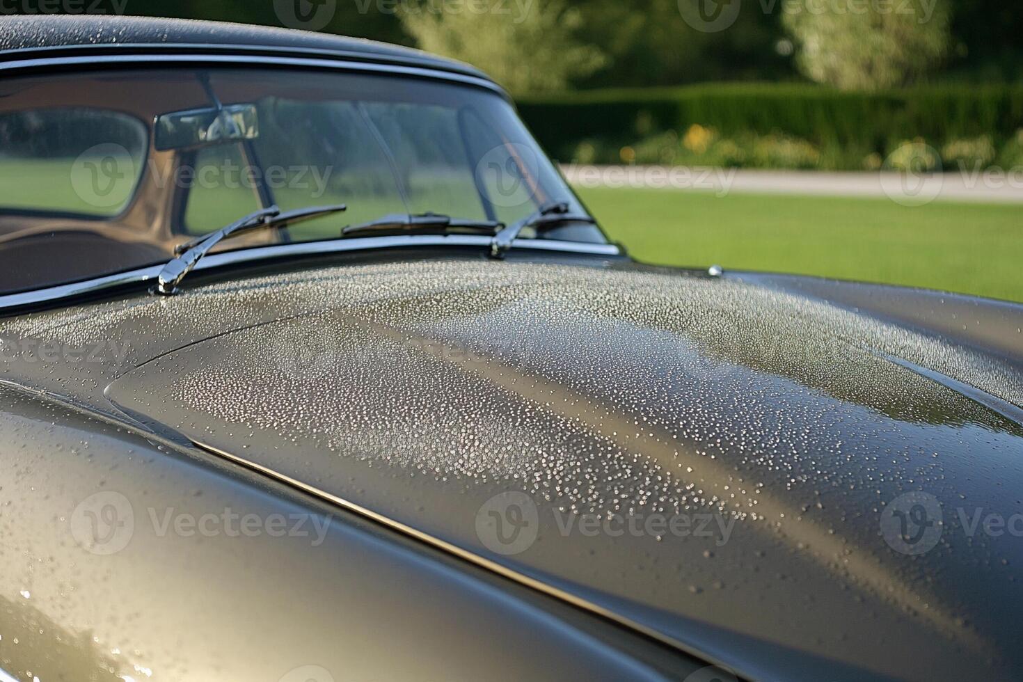 A car with water droplets on the hood photo