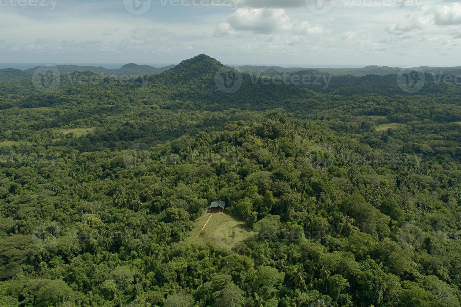 An aerial view of a forested area with a house in the middle photo