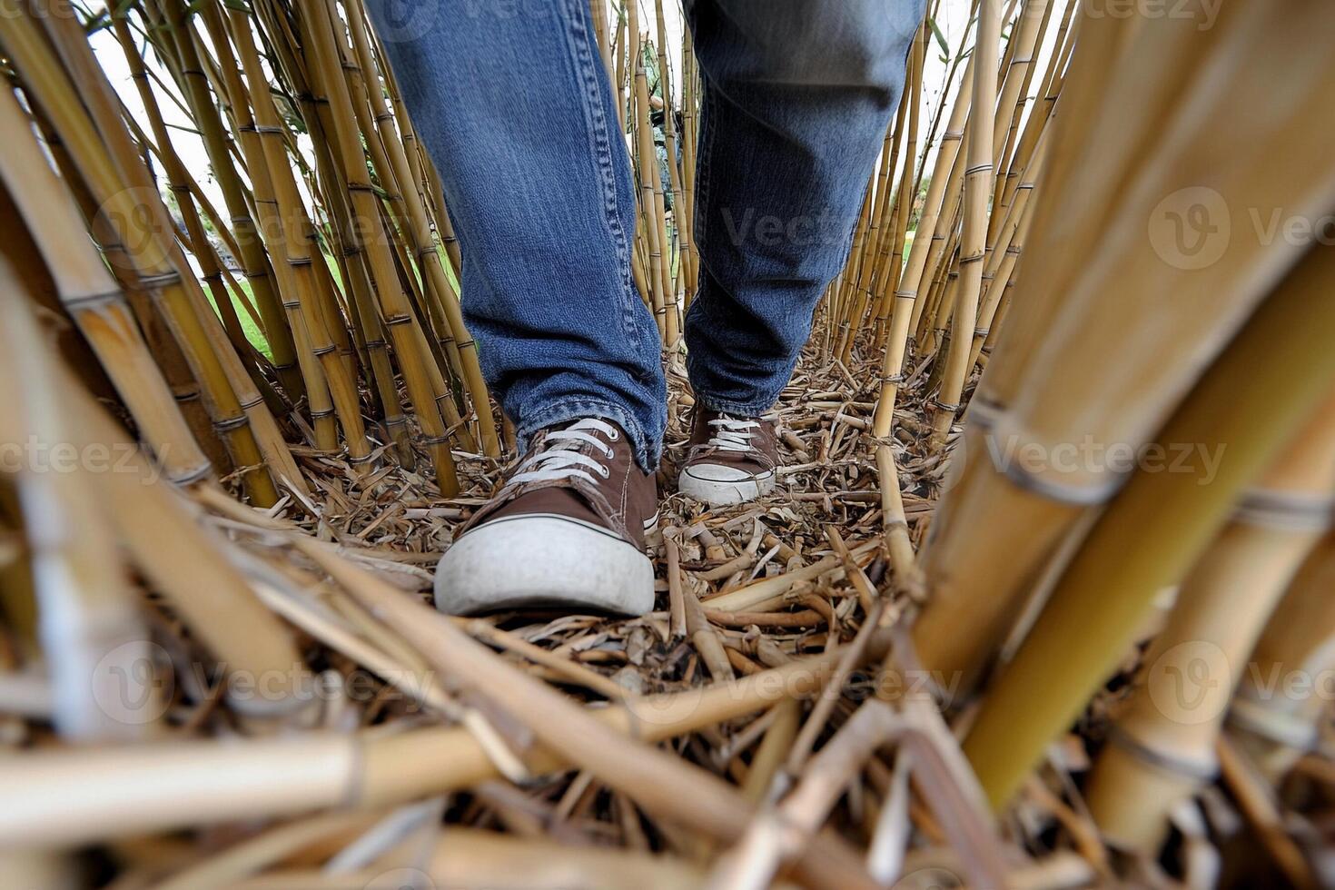 A person wearing sneakers walking through a bamboo forest photo