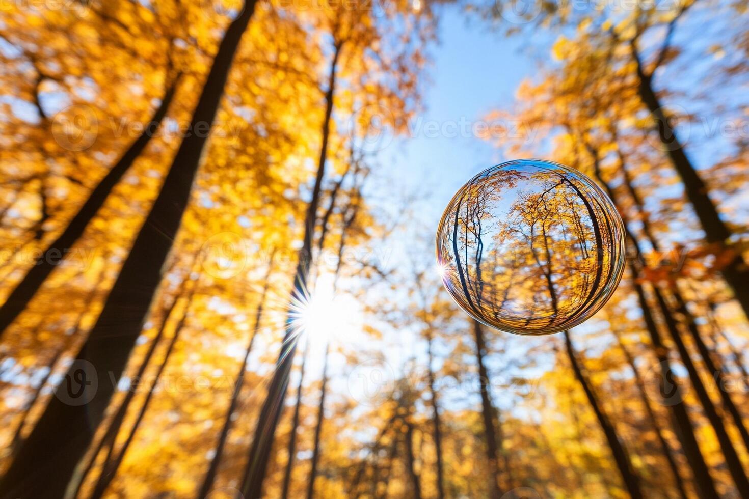 A bubble with a reflection of trees in the background photo