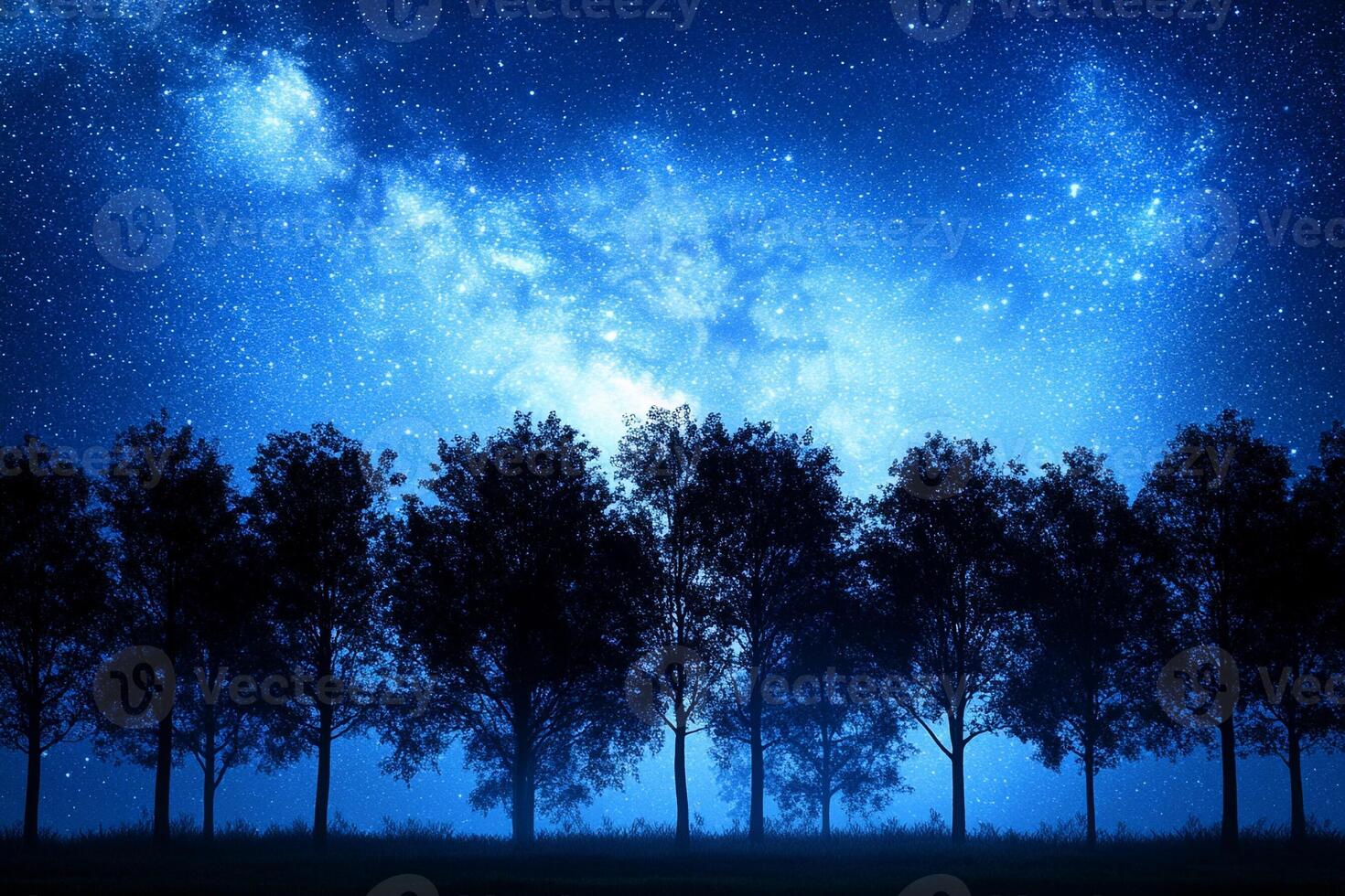 A night sky with trees and stars photo