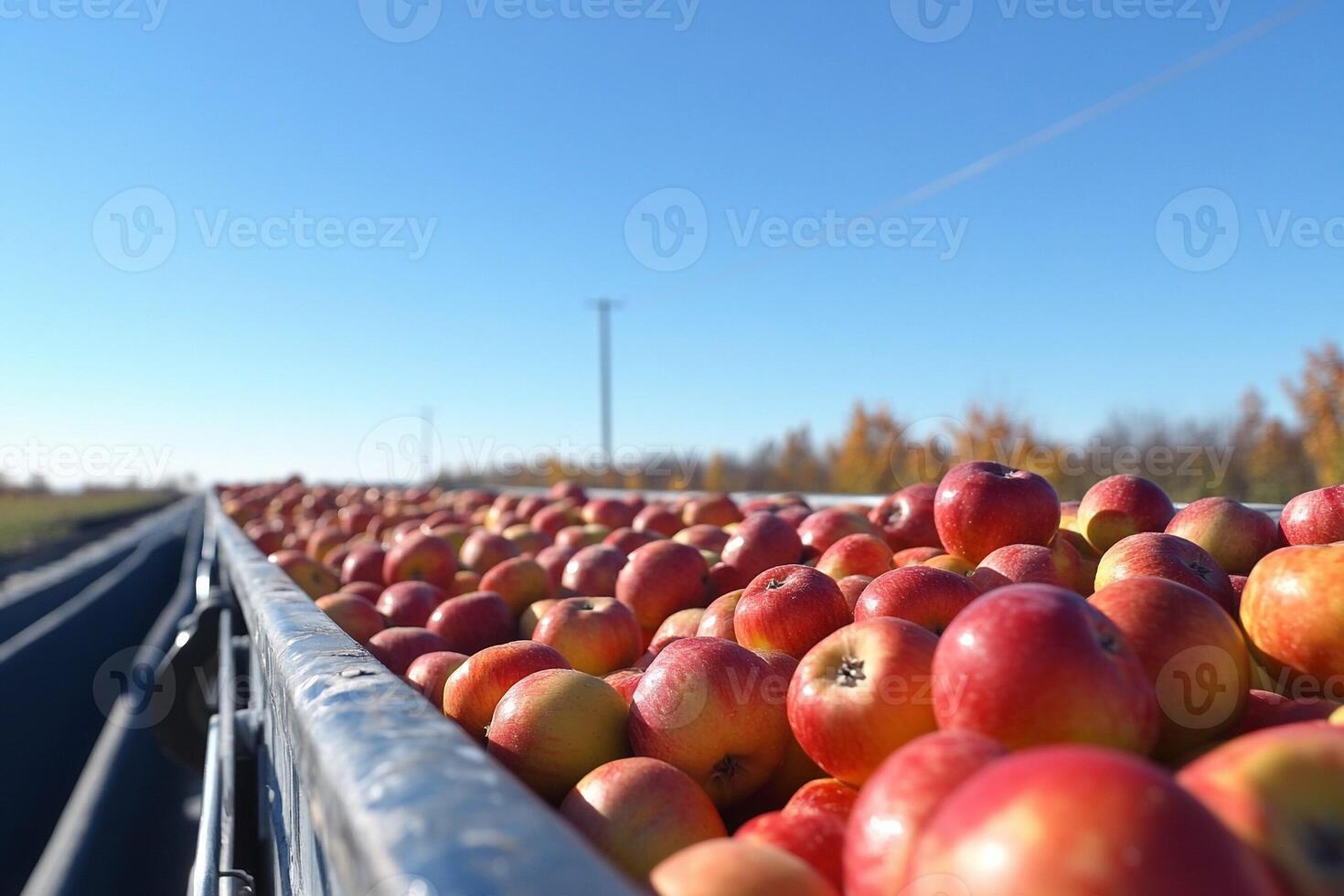 A truck filled with apples is on the road photo