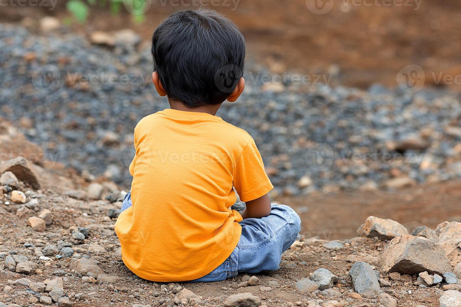 A young boy sitting on a rock in a field photo