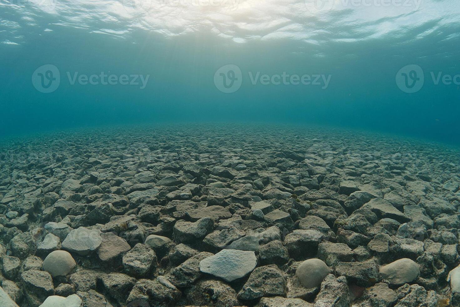 A view of the ocean floor from under water photo