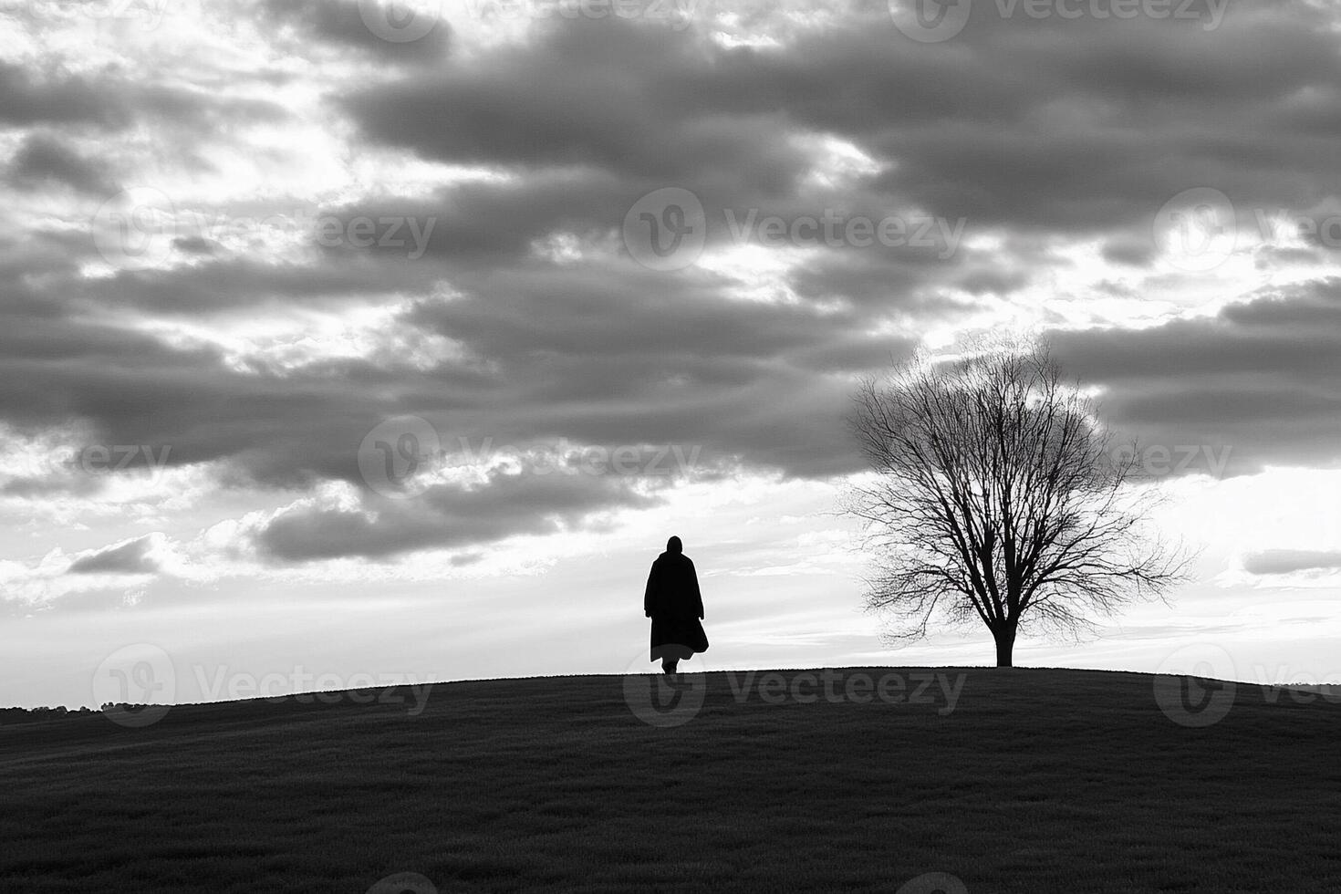 A lone tree stands on a hill under a cloudy sky photo