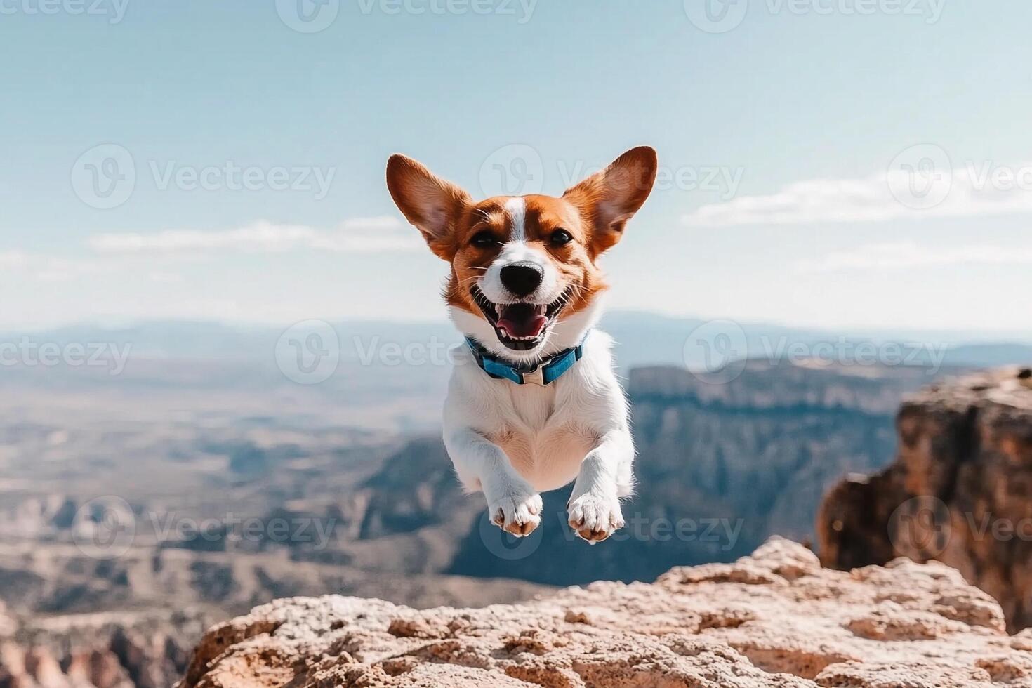 A dog jumping over a cliff photo