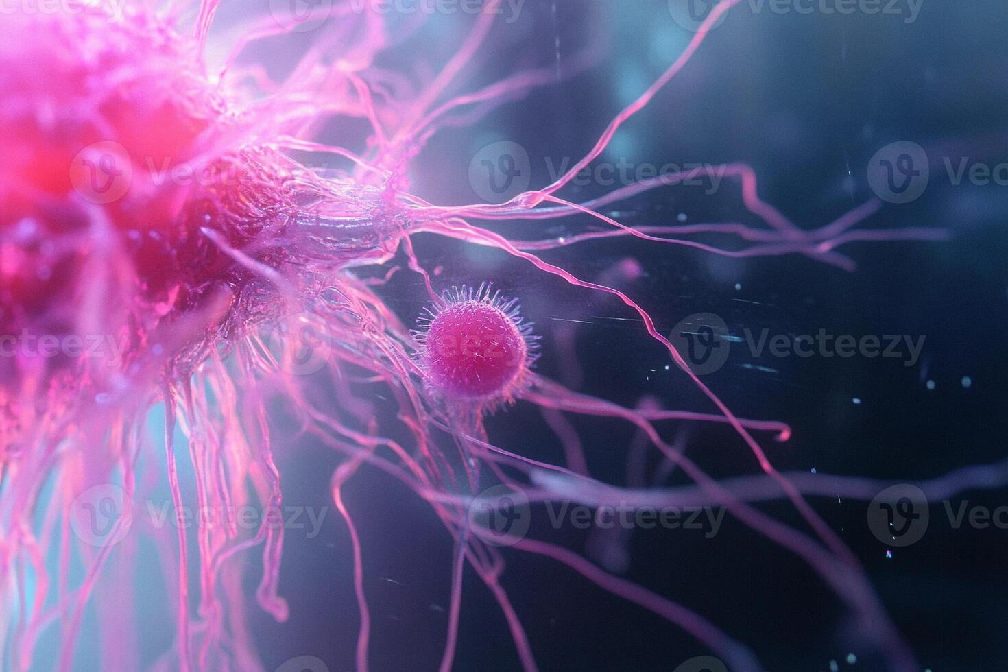 Cancer cells are shown in a photo
