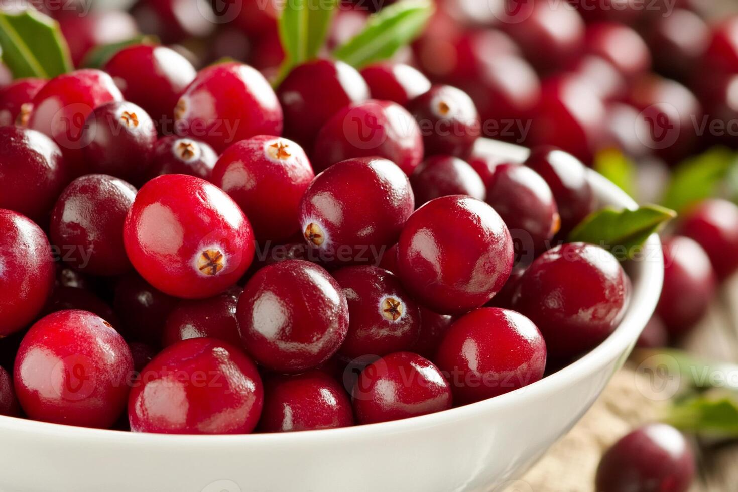 Cranberries in a bowl photo