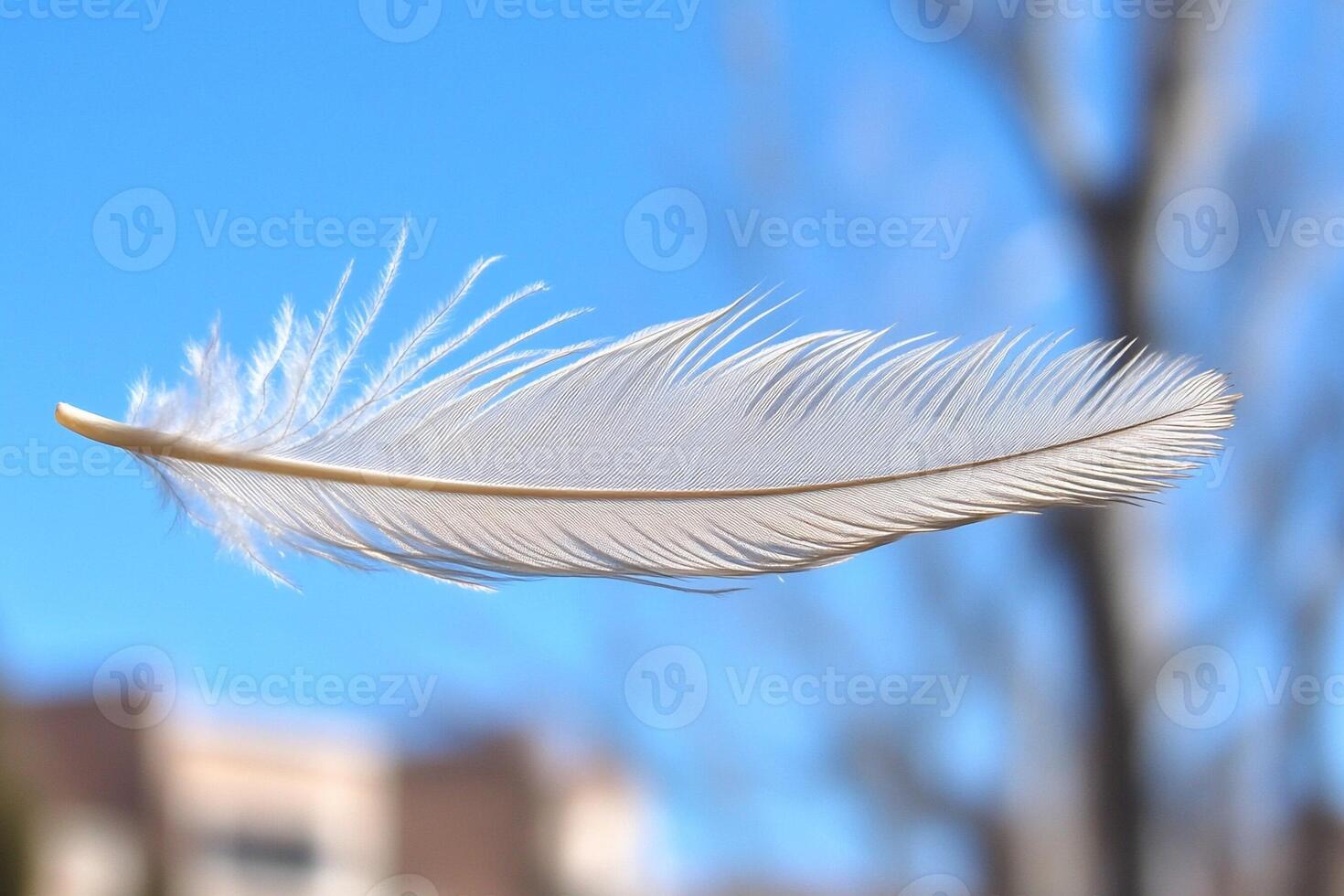 A white feather floating in the air photo