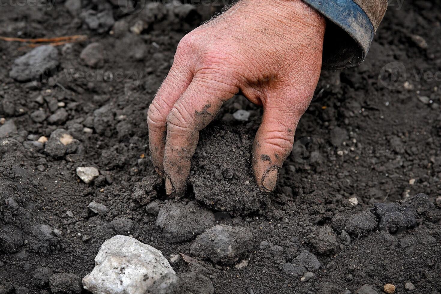 A person's hand is digging into the soil photo