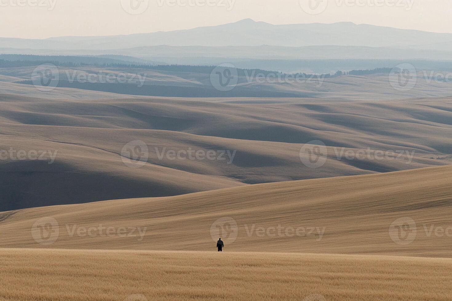 A lone person standing in the middle of a field photo