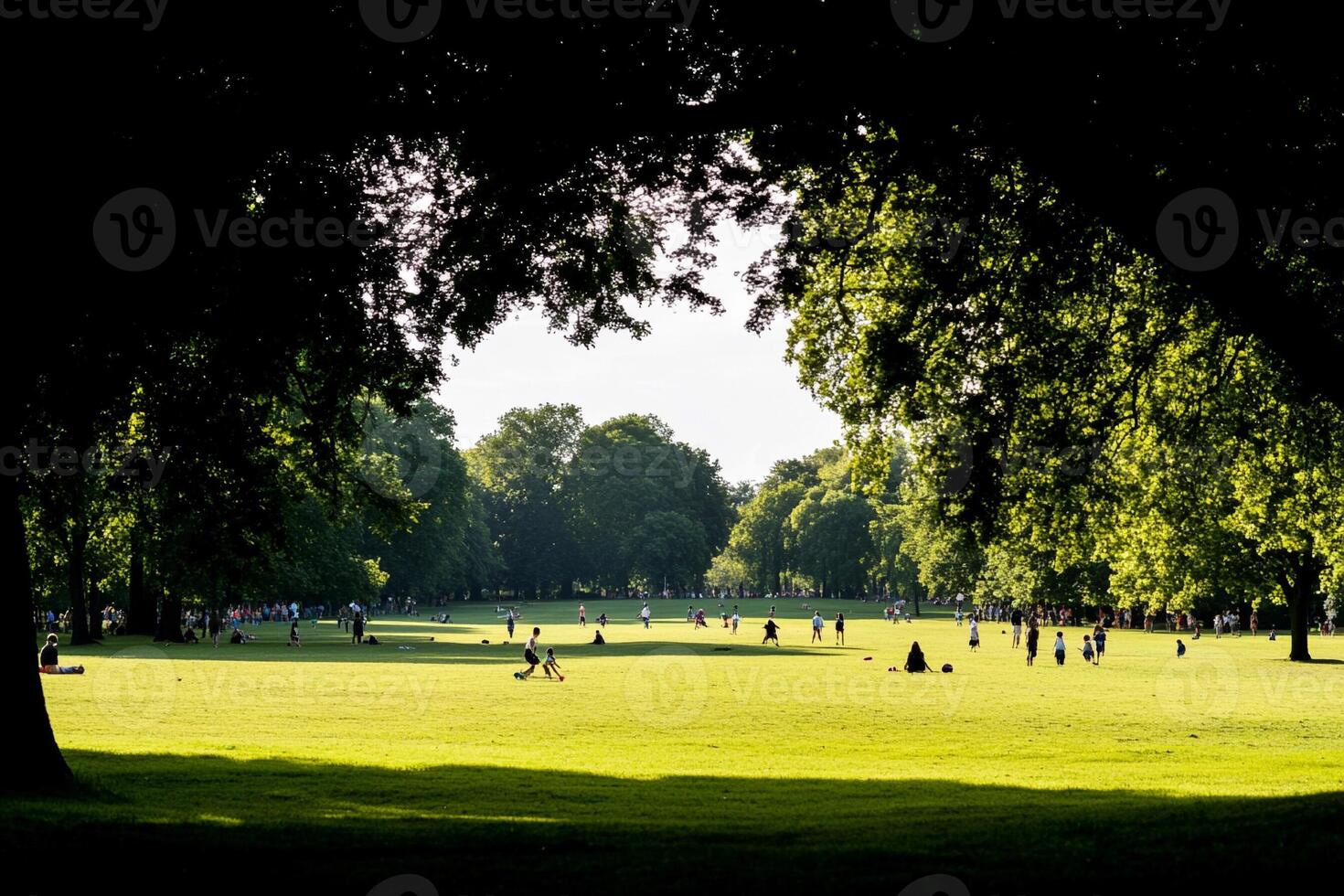 People are playing in a park with trees photo