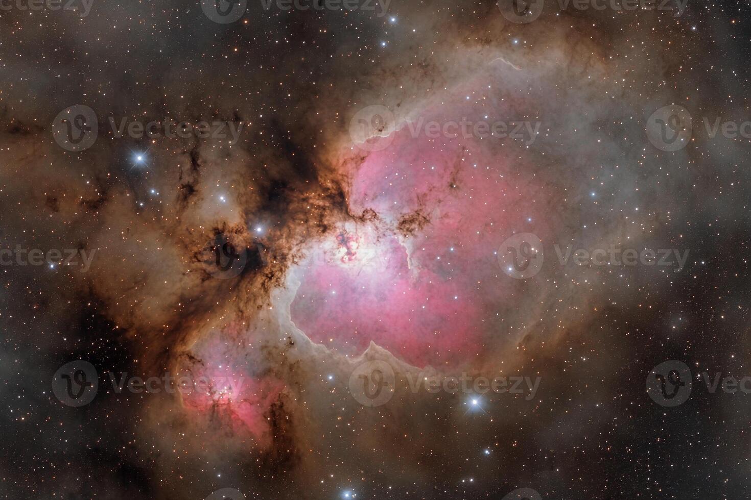 The orion nebula, a star forming region in space photo