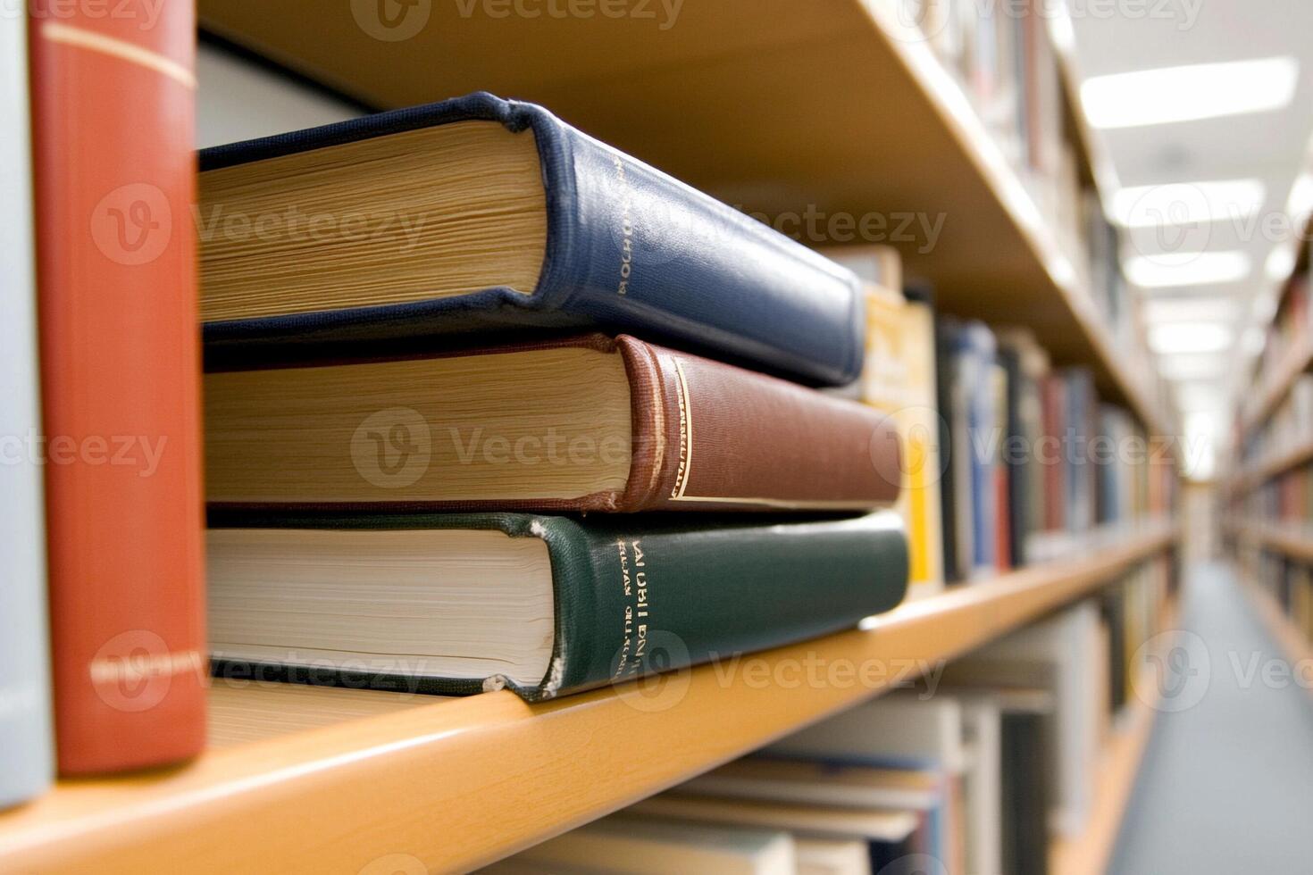 A row of books on a shelf in a library photo