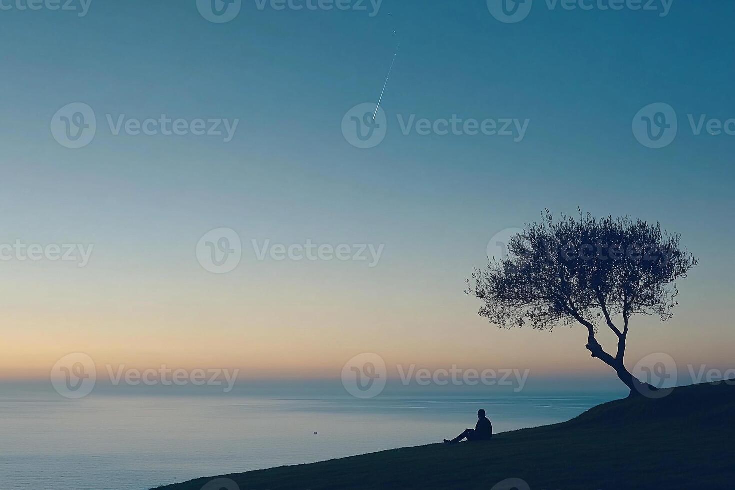 A lone tree sits on a hill overlooking the ocean photo