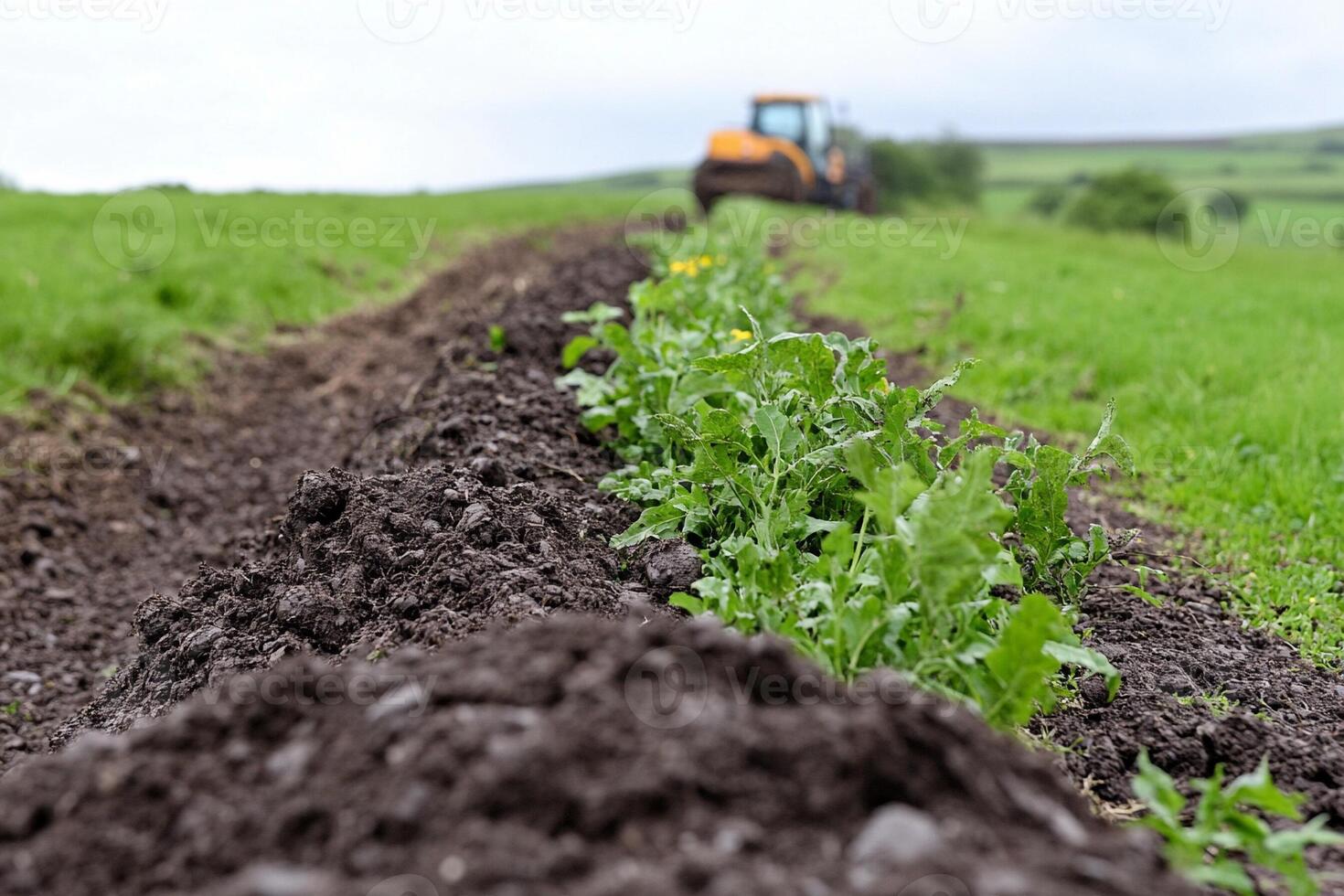 A tractor is driving through a field with dirt photo