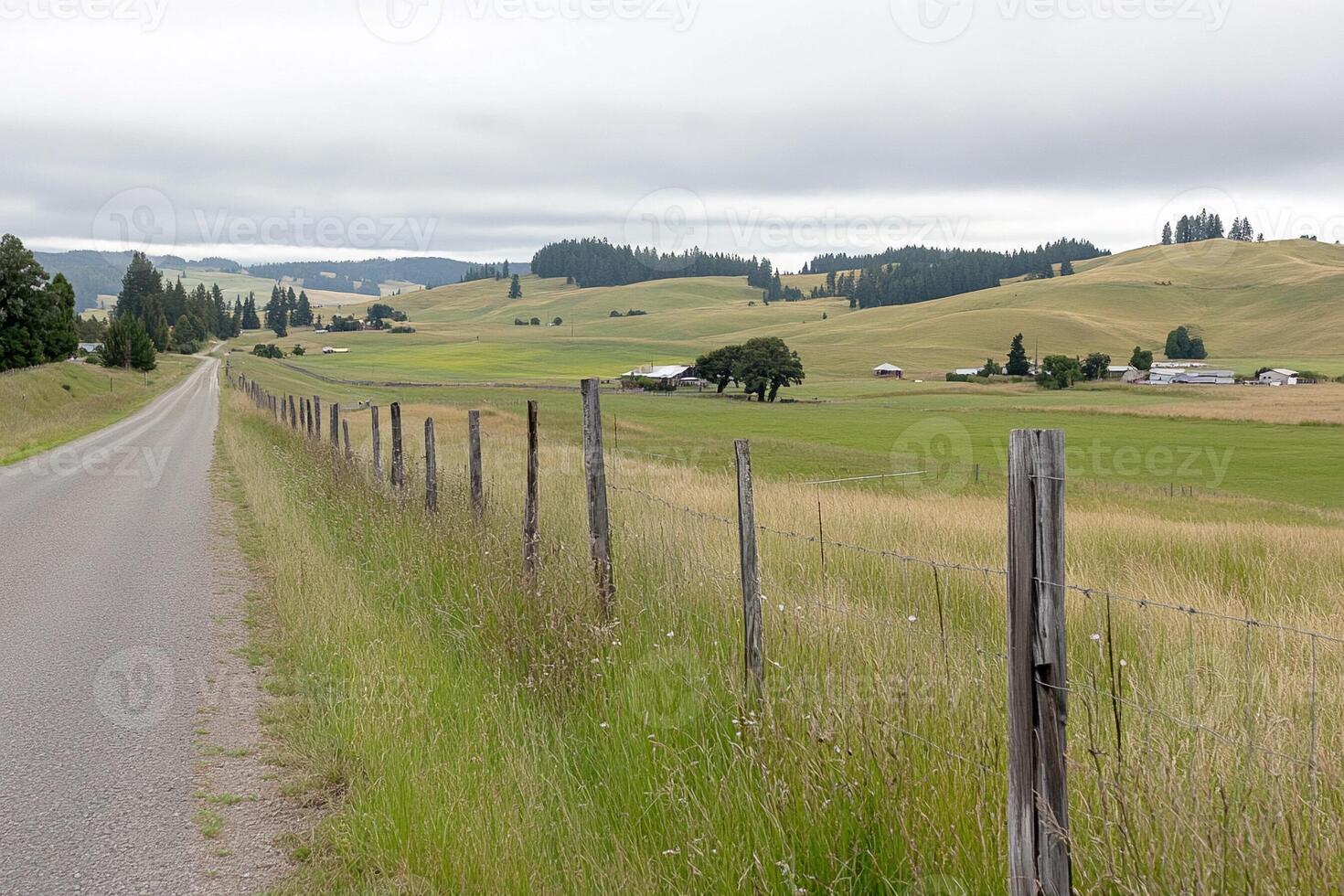 A road with a fence and a grassy field photo