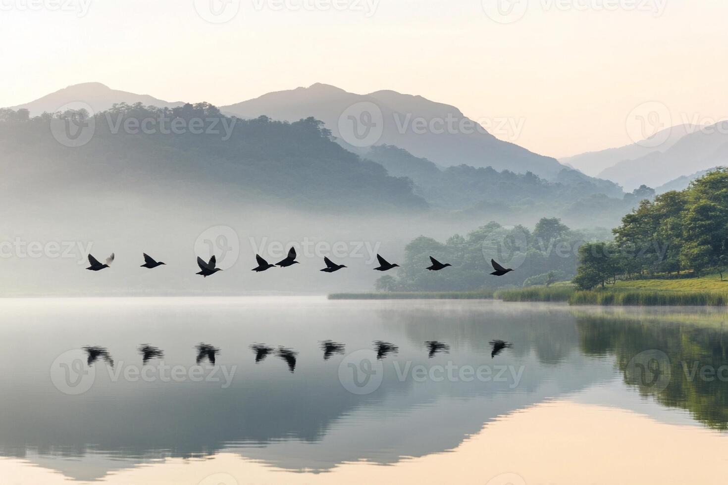 A flock of birds flying over a lake with mountains in the background photo